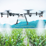 alimentos do futuro