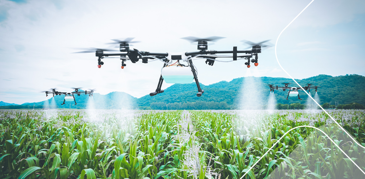 alimentos do futuro