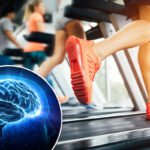 5 Benefícios do Exercício para a Saúde Cerebral e a Memória: Seu Guia para um Cérebro Saudável