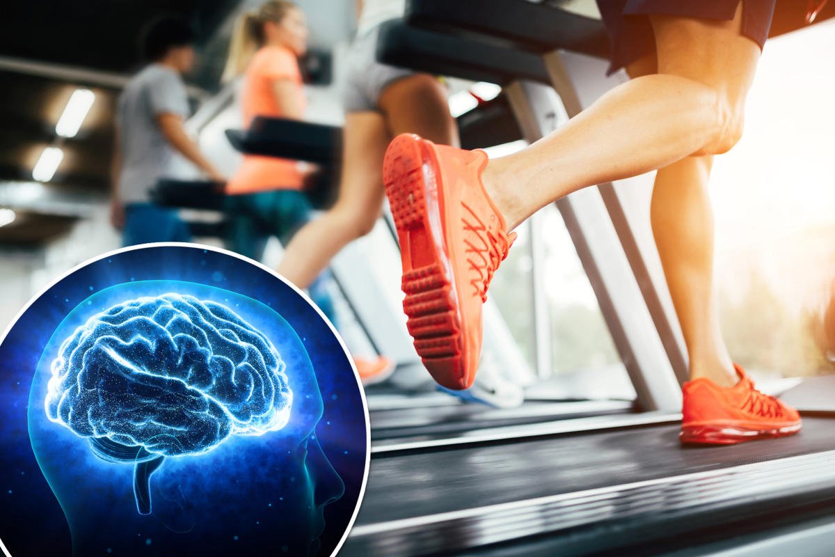 5 Benefícios do Exercício para a Saúde Cerebral e a Memória: Seu Guia para um Cérebro Saudável